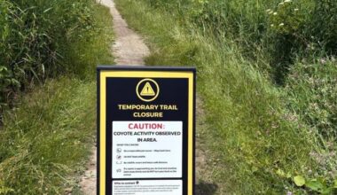 Whitby’s Heber Down trail closed due to increased coyote activity - DurhamRegion.com