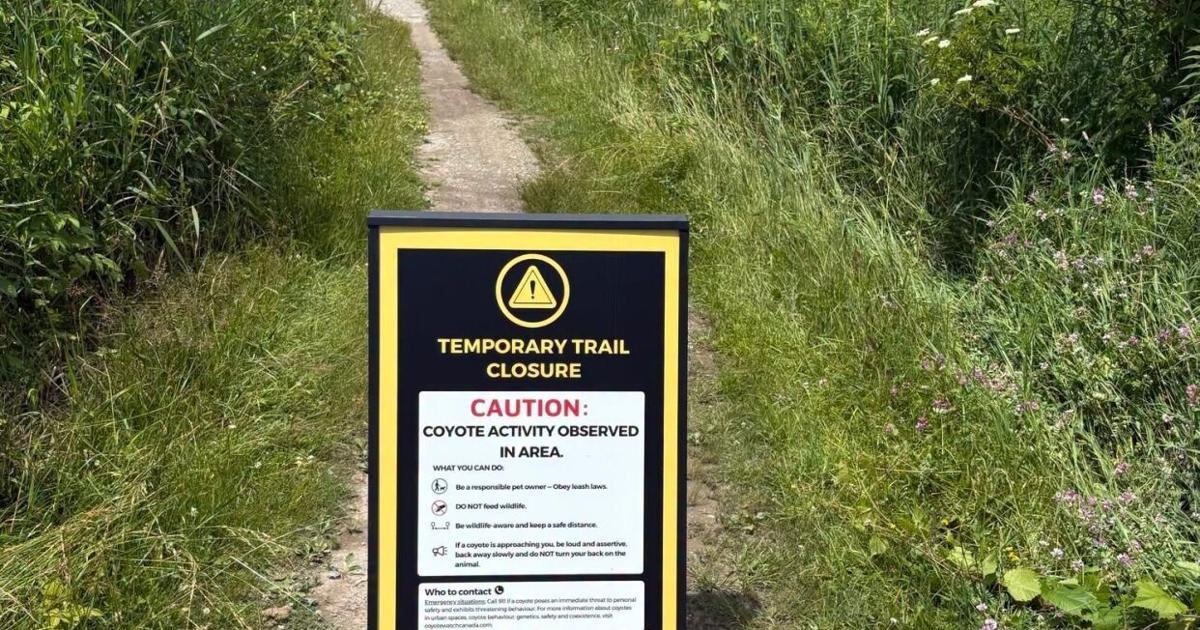 Whitby’s Heber Down trail closed due to increased coyote activity - DurhamRegion.com