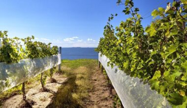 Great Ontario weekend and daytrips from Toronto on a budget