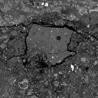 Meteorite that crashed in New Jersey may hold clues to how life began | National