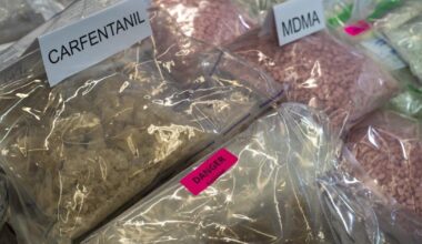 Montreal public health warns of rise in overdoses linked to fentanyl and carfentanil - Toronto Star