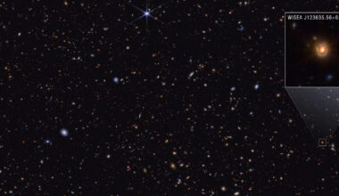 NASA Webb Explores Family Tree of Newly Discovered Distant Objects