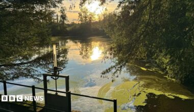The sun sets on a pond.