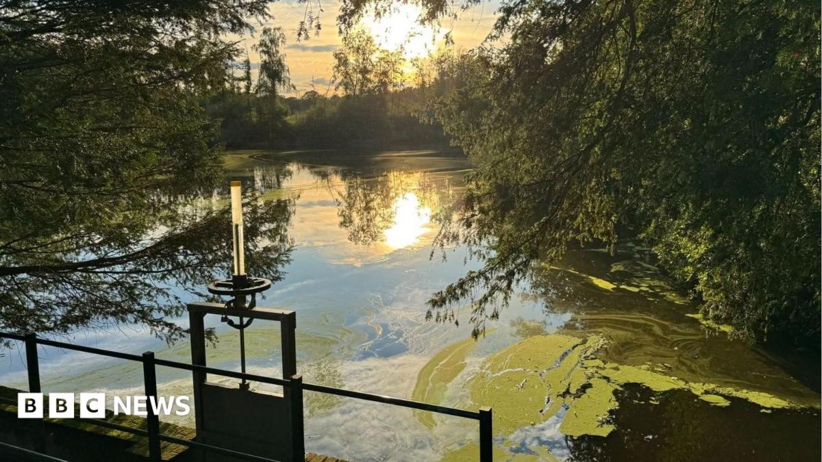 The sun sets on a pond.
