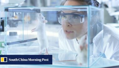 How electroacupuncture calms inflammation and the super microscope that showed it