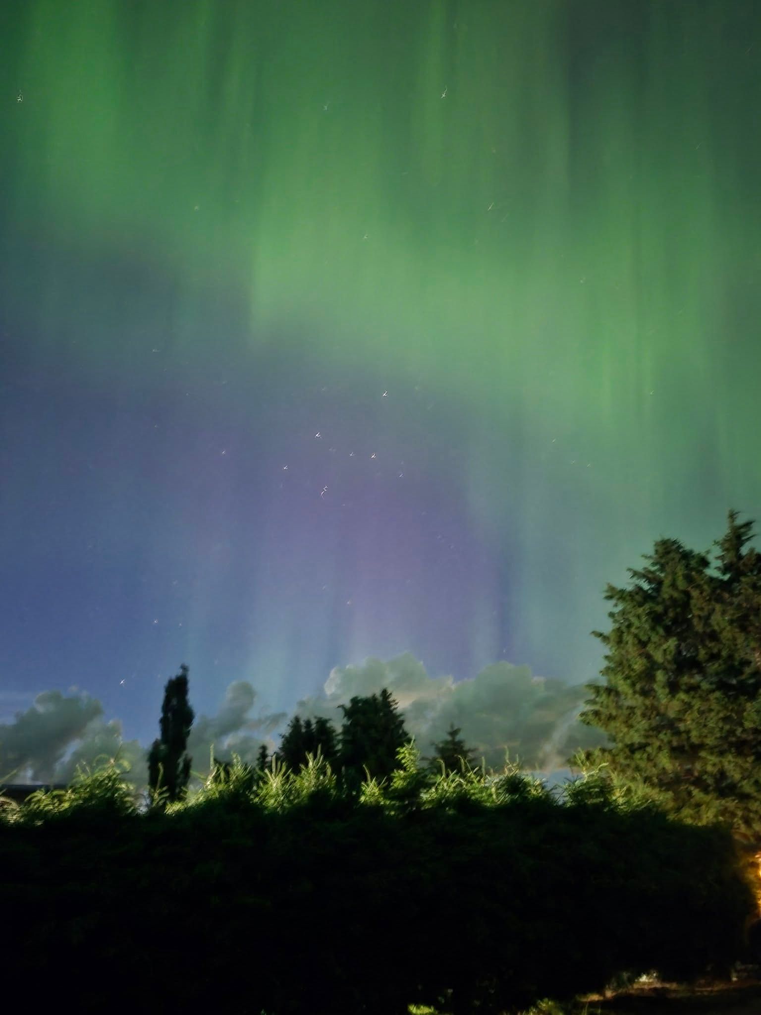 Vivid green and purple curtains of the aurora borealis stream skyward above treetops and drifting clouds, creating a colourful overnight display of northern lights. Photo Patty Connon