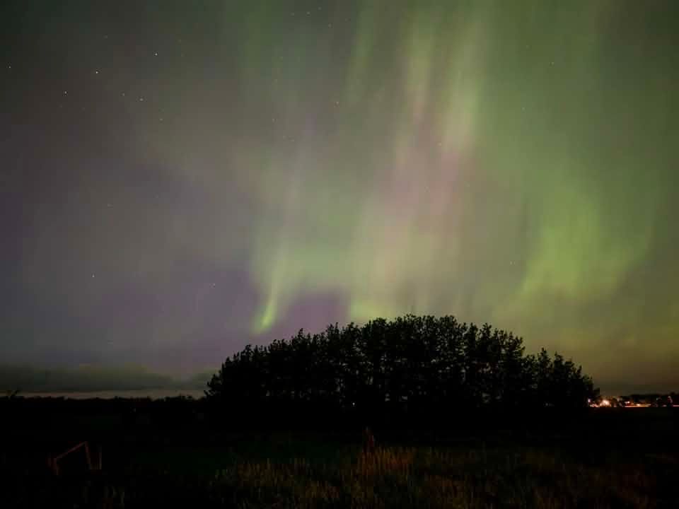 Green ribbons of the aurora borealis ripple above a stand of trees near Carstairs, lighting up the night sky with a soft summer glow. Photo Chantel L. Mc