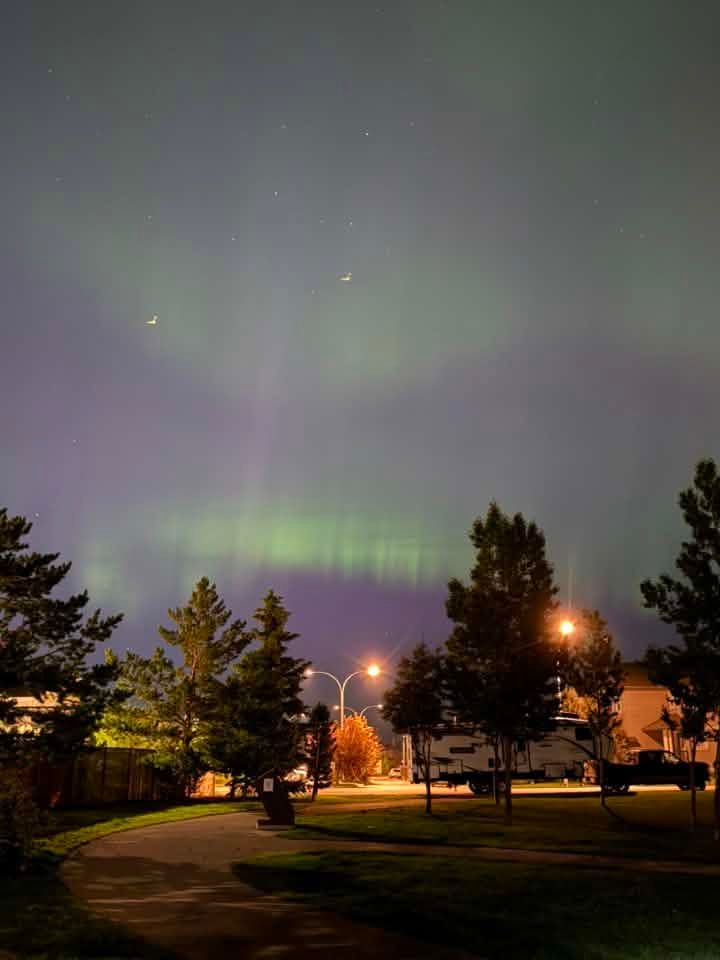 Soft green and purple northern lights glow above Kingsland at midnight, casting colourful bands across the sky over a quiet neighbourhood park. Photo Megan Weigelt-Hodges