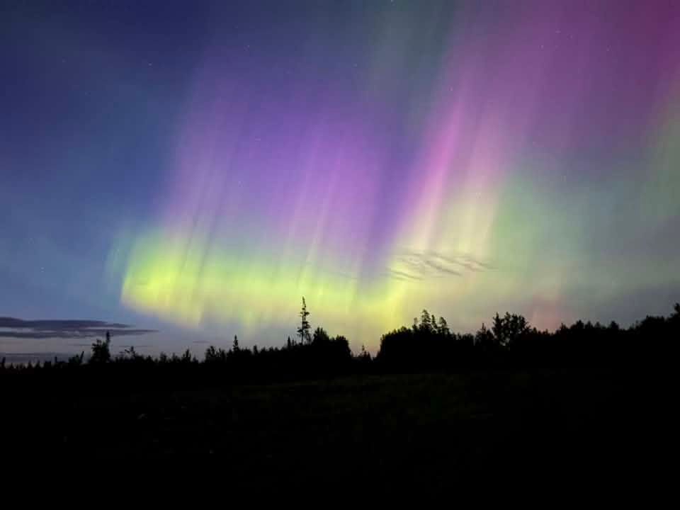 Brilliant waves of green and purple aurora light ripple across the night sky above Rocky Mountain House, creating a spectacular display over the darkened treeline. Photo Chris Hammonds