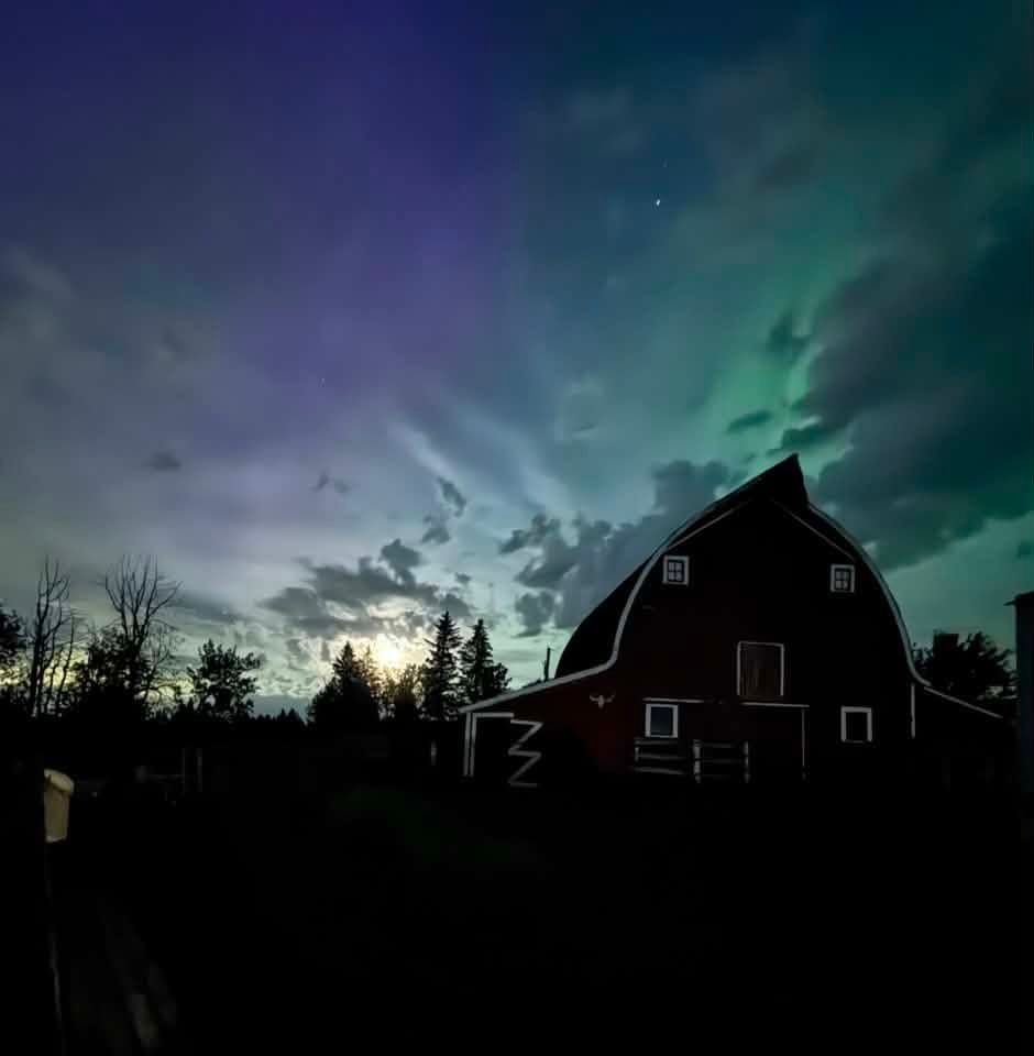 Green and purple hues of the aurora borealis illuminate the sky behind a classic prairie barn, creating a striking rural scene during a summer night light show. Photo Sarah Lamber