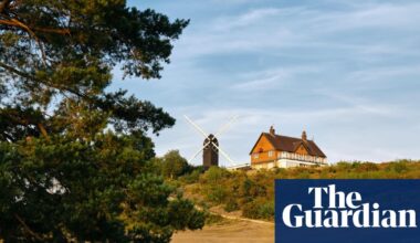Country diary: From the beech trees of home to the hot Surrey Hills | Wildlife