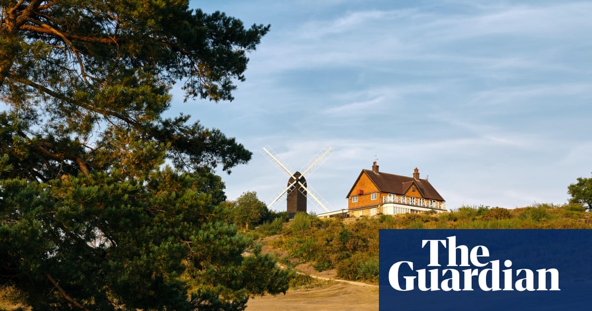 Country diary: From the beech trees of home to the hot Surrey Hills | Wildlife