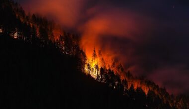 Osoyoos, B.C. fire triggers evacuation alert