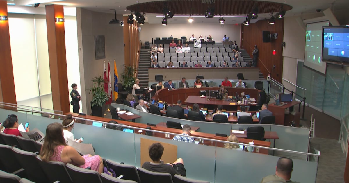 Hamilton city council rejects one-year pause on AI data centres - CTV News