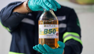 Indonesia rolls out palm oil blend amid rising fuel prices