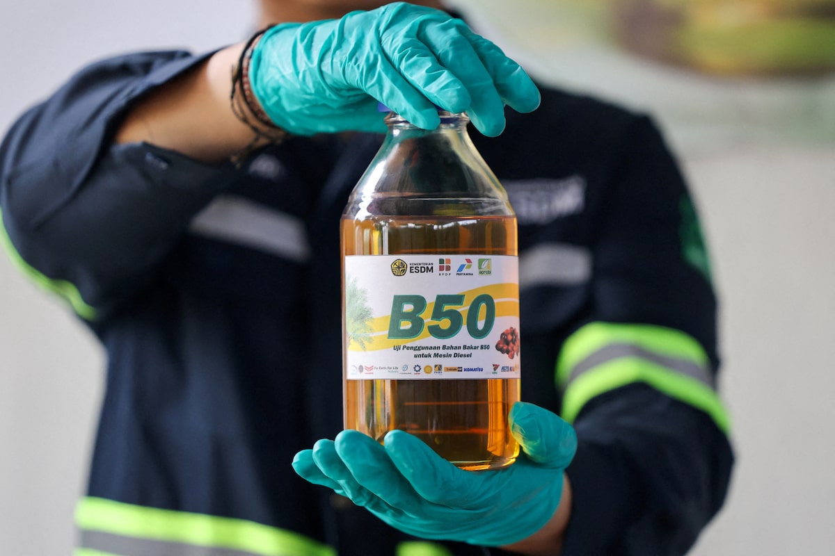 Indonesia rolls out palm oil blend amid rising fuel prices