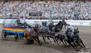 Ray Croteau Jr. takes top spot on Day 2 of 2026 Calgary Stampede Rangeland Derby