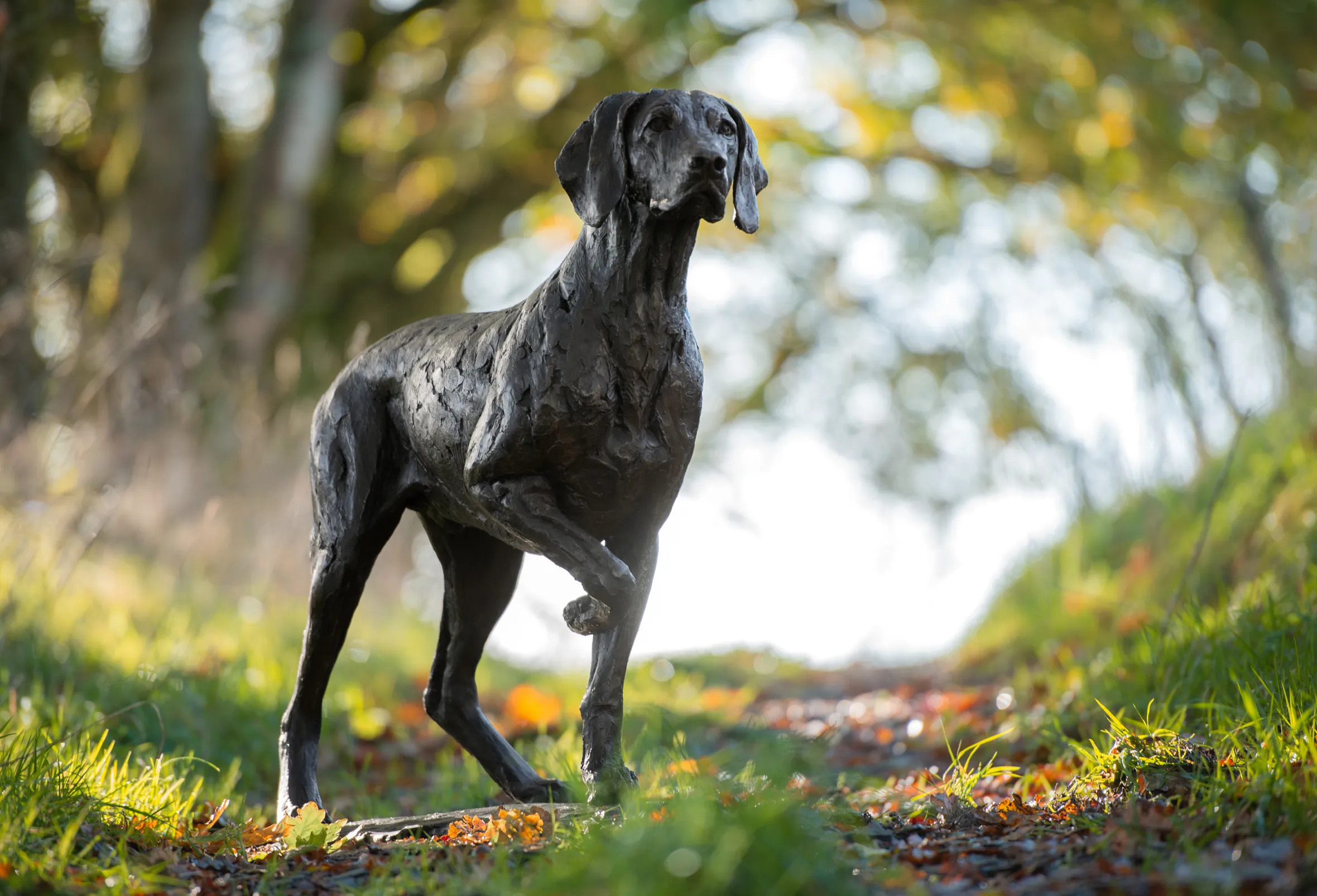 Bronze sculpture of a Weimaraner dog with one paw raised, standing in a grassy area with fallen leaves.