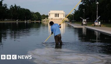 Former Olympian David Hearn indicted for allegedly vandalising reflecting pool - BBC