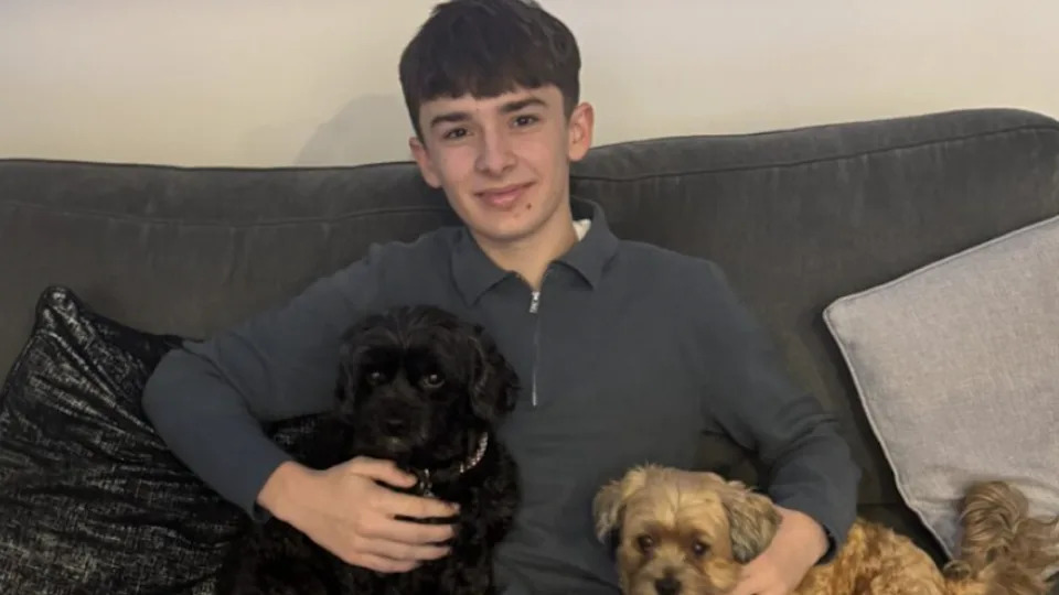 A teenager sat on a sofa smiling while cuddling a black and a brown dog