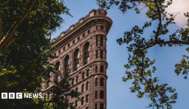 A view of the top section of the Flatiron Building, with trees surrounding it, showing its intricate Beaux-Arts detailing