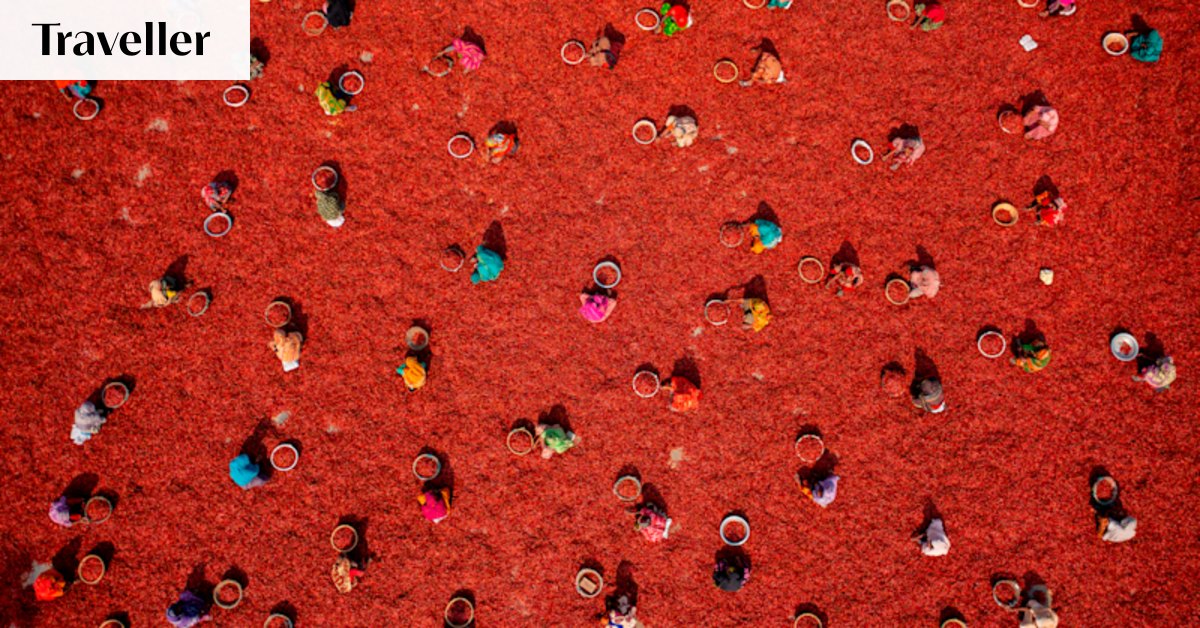 Aerial Photographer of the Year 2026 winners: Stunning images of birds, rowing and Namibia’s red dunes revealed