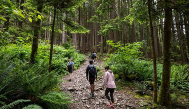 Metro Vancouver outside workers at regional parks walk off the job indefinitely