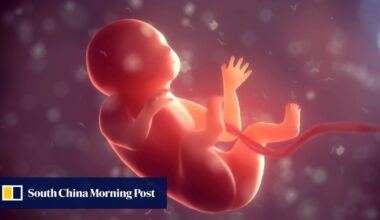 Chinese scientists have bad news on having babies in space. But there is a silver lining