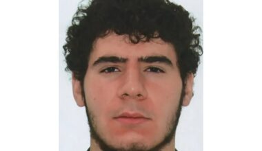 Police shoot dead Berlin Pride car-ramming attack suspect | News