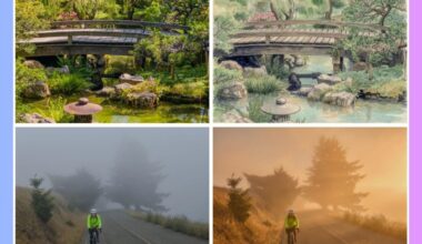 Adobe’s ‘natural look’ camera app embraces generative AI