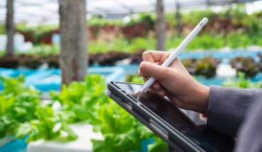 Close up of a professional using a digital tablet to monitor crop growth and farm data, highlighting precision agriculture and technology driven farming