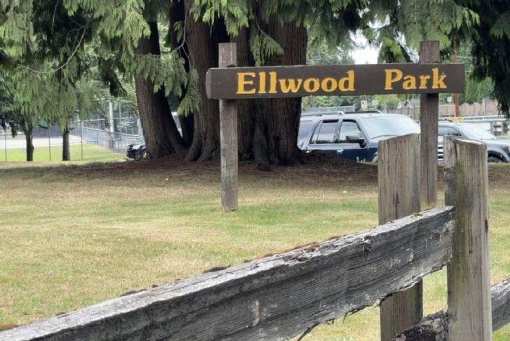 Abbotsford elderly woman assaulted in park washroom