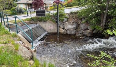 Anderson Creek gets new measures after environmental assessment