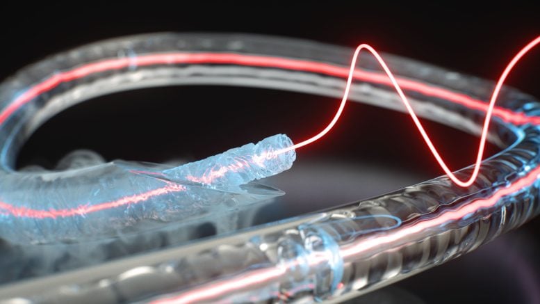 Artist Impression of a Frozen Optical Fiber Core in a Glass Capillary
