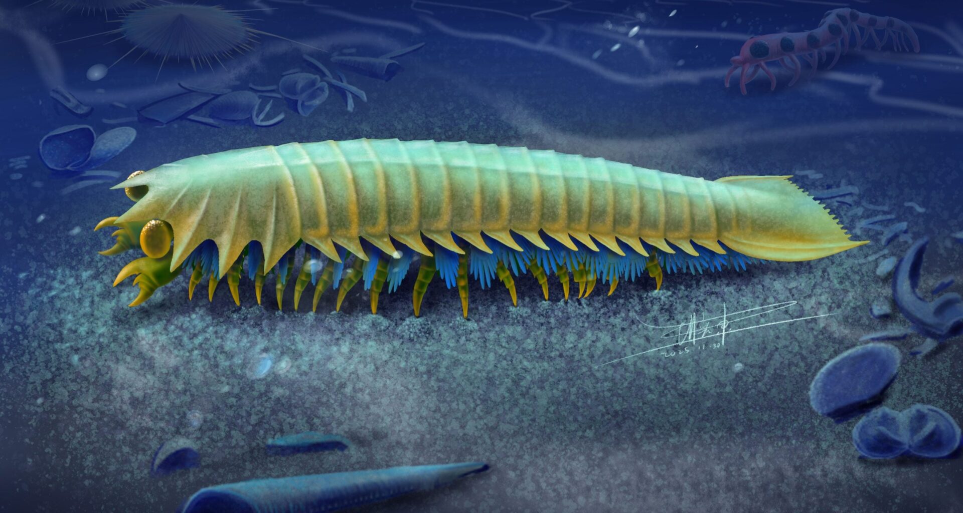 This 518-Million-Year-Old Creature Reveals How Spiders Got Their Bite