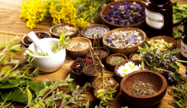Top 10 Himalayan Herbs From Uttarakhand And Their Health Benefits