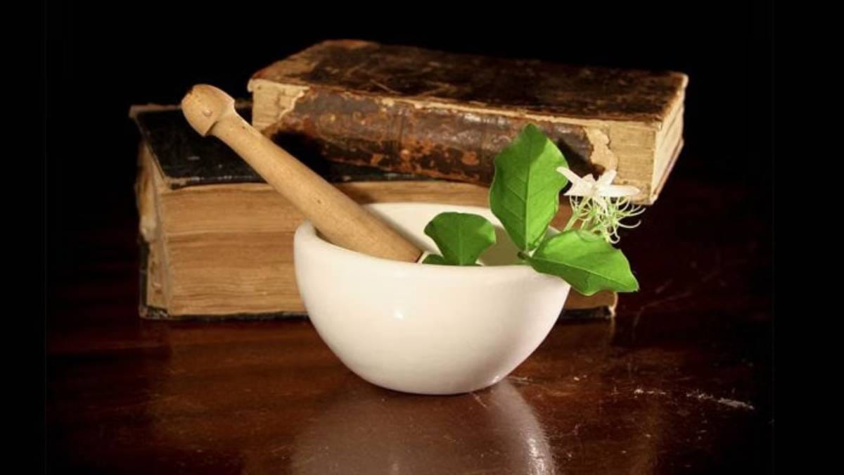 Global Ayurveda registry, Times Square centres, courses abroad—govt plans big push for traditional medicine