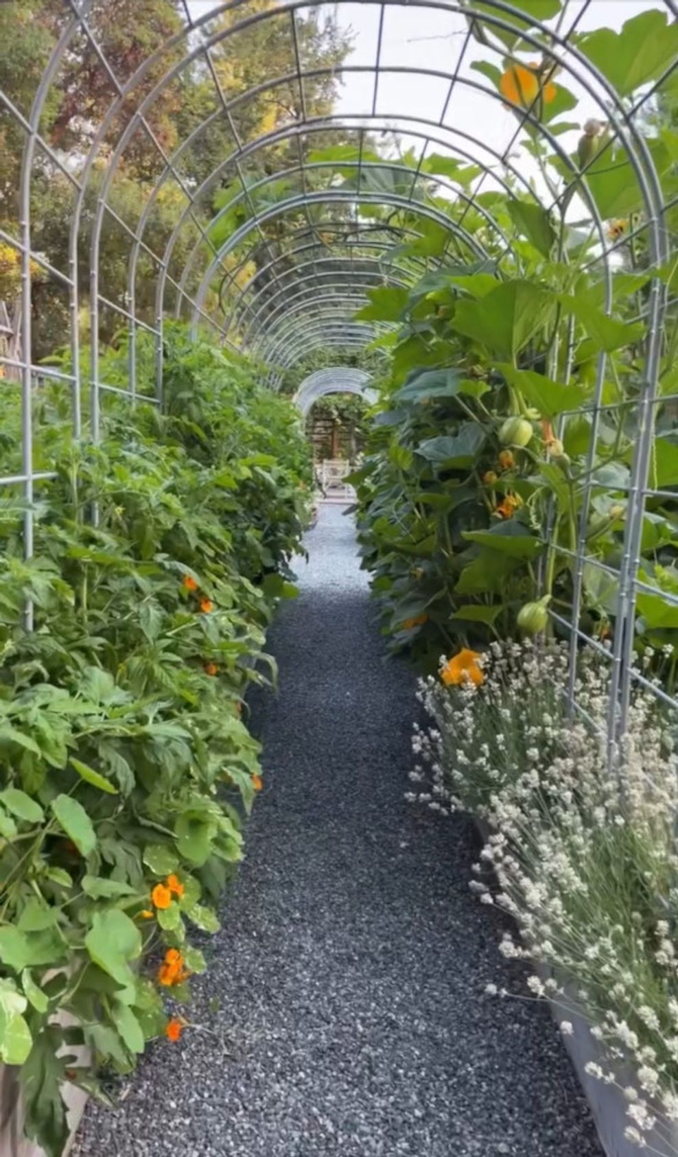 B.C. garden