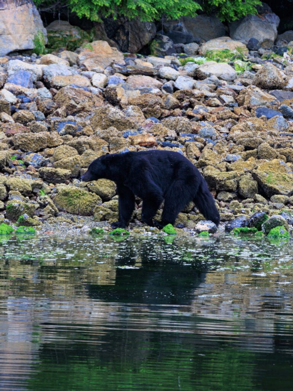 B.C. resort