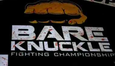 Fabricio Werdum