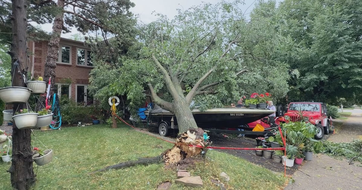 Several homes in Oakville damaged as thunderstorms roll through GTHA - CTV News