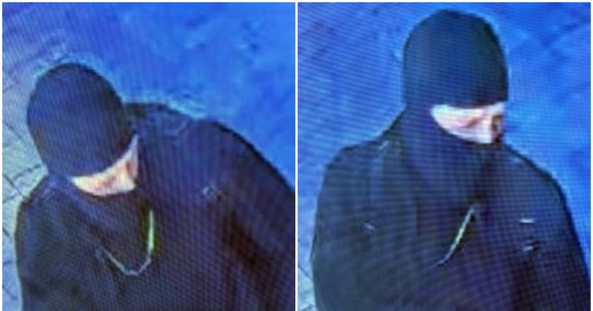 Toronto police search for man allegedly seen with firearm