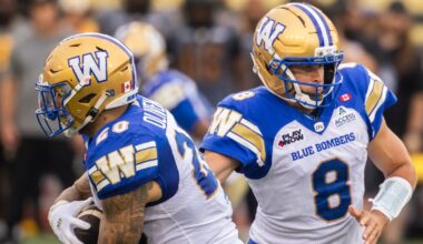 Castillo's 23-yard field goal lifts Winnipeg Blue Bombers to victory over Hamilton Tiger-Cats