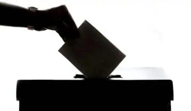 mississauga election update july 2026