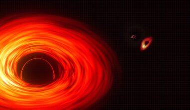 Second-Hand Black Holes May Be Hiding Across the Universe. Researchers Now Have a Way to Spot Them