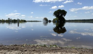 City of Brandon removing 'super sandbags' water level of Assiniboine River continues to recede