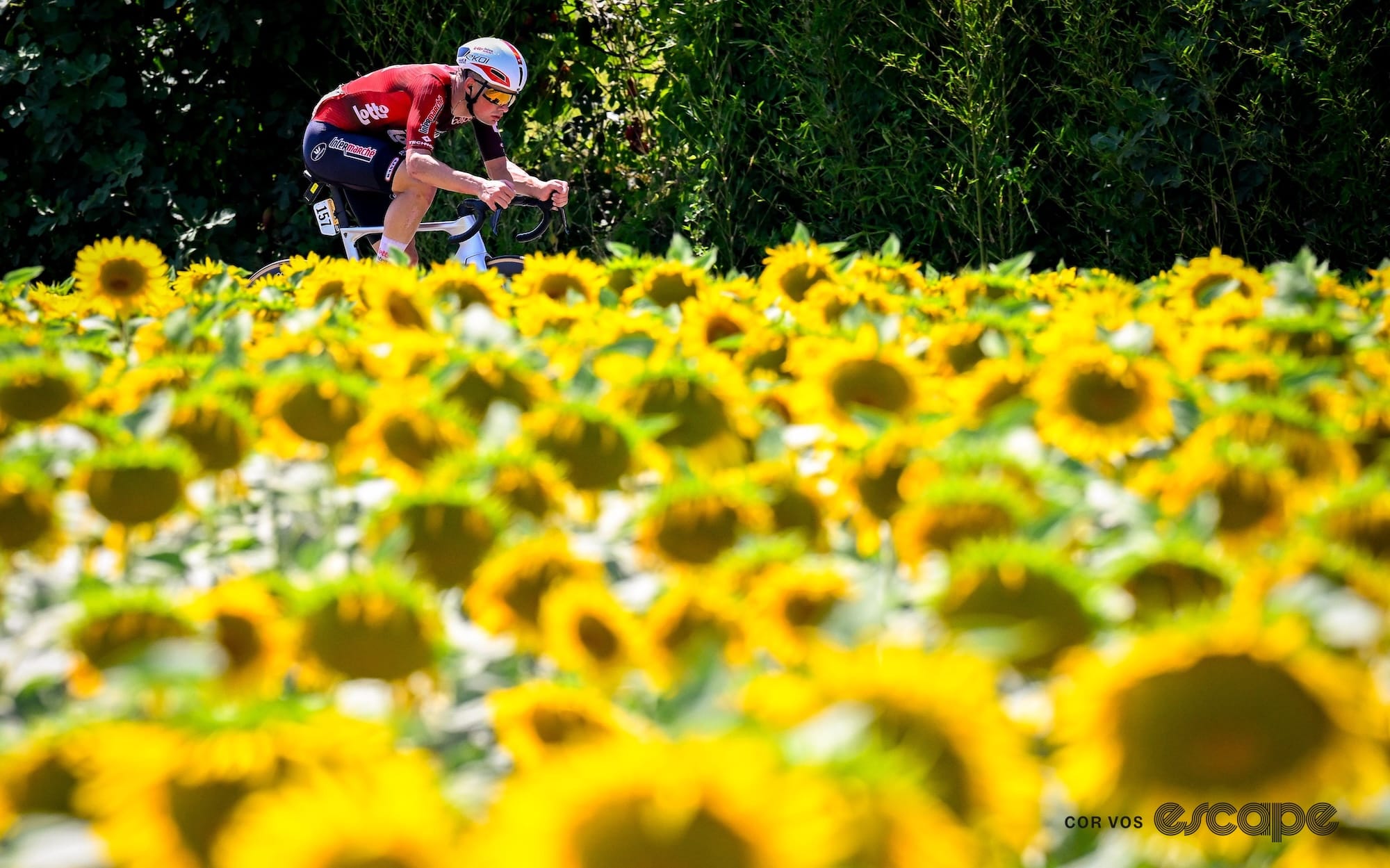 In praise of the lone rider