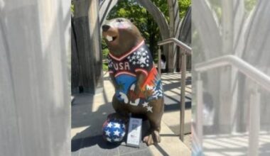 U.S.-inspired World Cup beaver statue in Toronto destroyed, police investigating