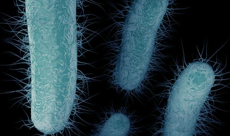 The resistance gene that’s causing ‘nightmares’ in US hospitals