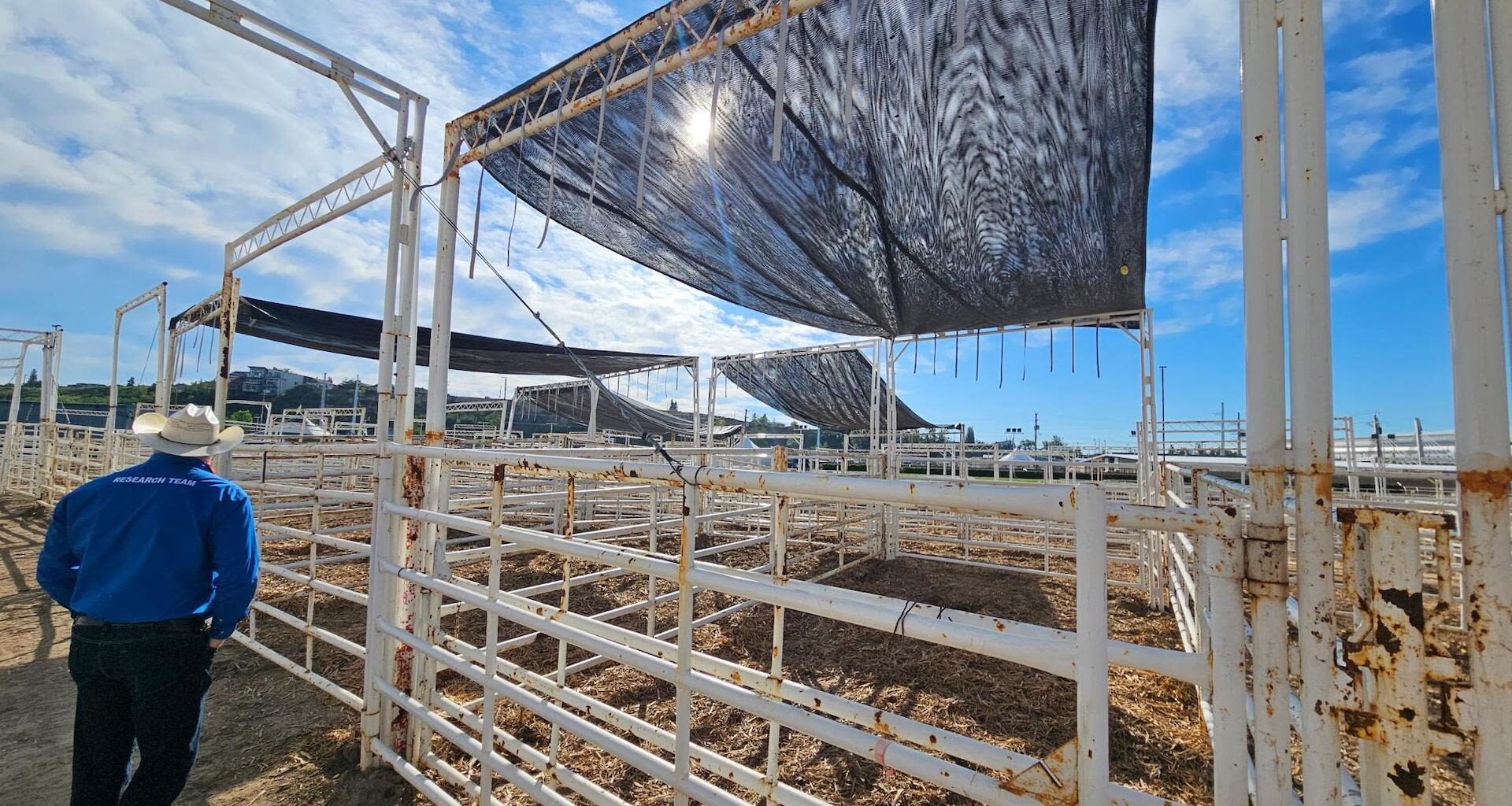 Calgary Stampede may come with a weather rodeo this year